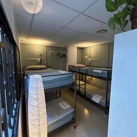 Nc 大加那利岛拉斯帕尔马斯